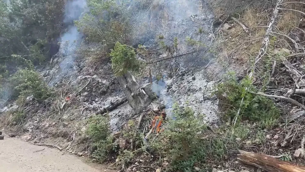 el-parque-nacional-los-alerces-en-el-medio-de-la-emergencia-ignea-foto-tn-ER2HSWH5FNHNDCI6RQWJPYFRZQ