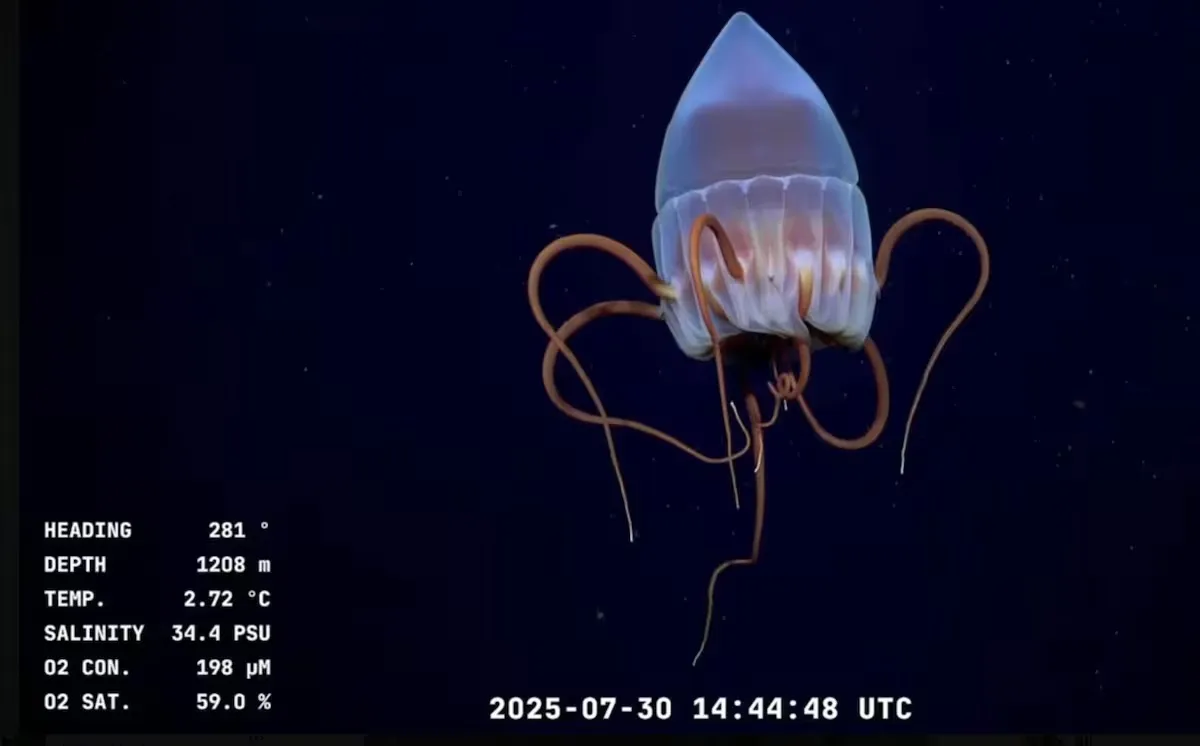 la-transmision-en-vivo-esta-disponible-en-el-OJYEVYCE7RABHFML6HMYSX56PY