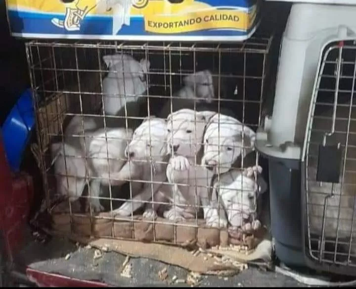 WhatsApp Image 2022-06-06 at 8.45.53 PM