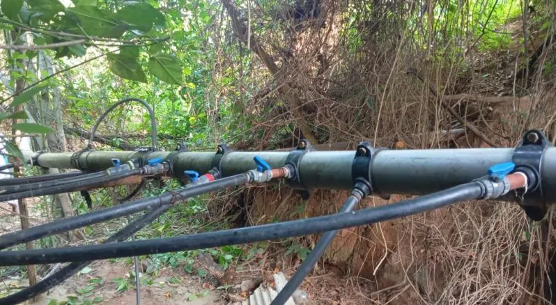 noticia 6 tolerancia cero