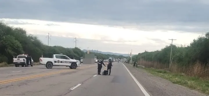 WhatsApp-Image-2024-10-28-at-8.00.15-PM-1