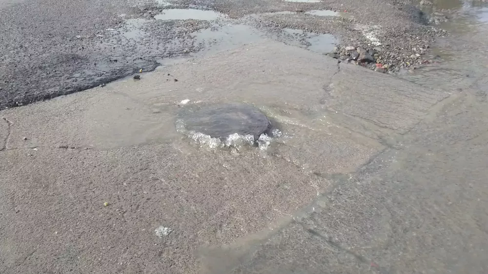 WhatsApp Image 2022-07-20 at 10.34.05 AM