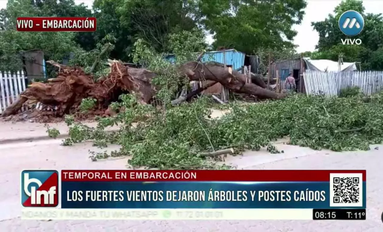 WhatsApp Image 2022-03-30 at 09.33.00