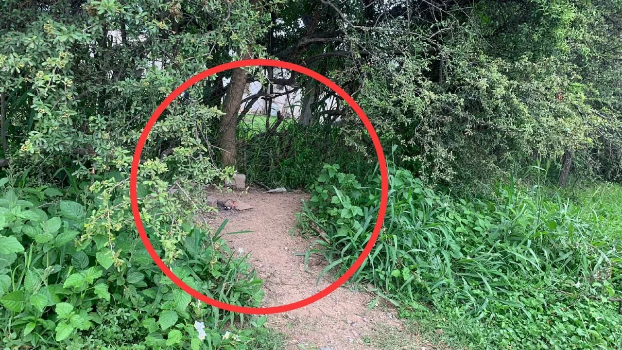 WhatsApp Image 2022-03-10 at 12.04.00