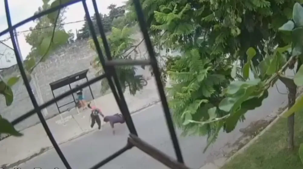 https___thumbs.vodgc.net_1-14-JZ1GLG1740700004929-1740700287