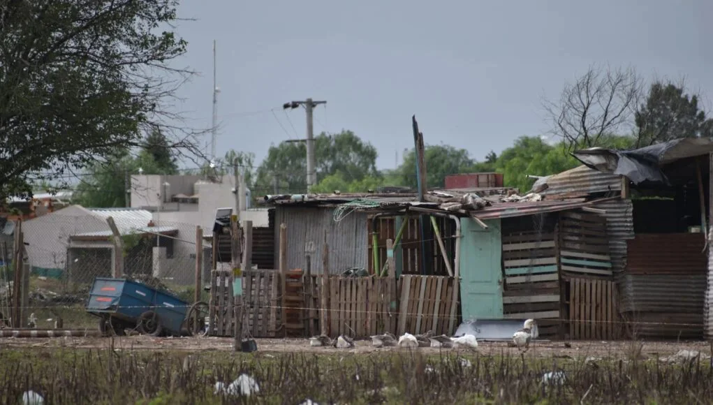 WhatsApp Image 2026-04-01 at 17.28.36