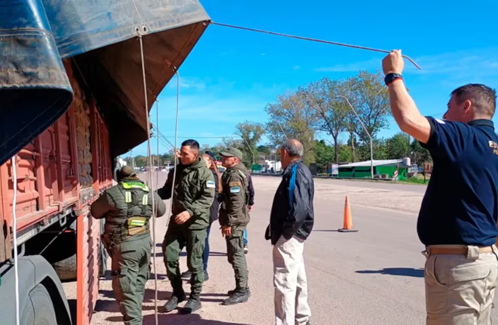 imagen_2024-05-13_092547362