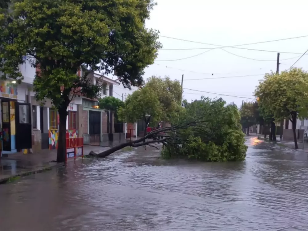 WhatsApp Image 2022-03-10 at 09.48.06