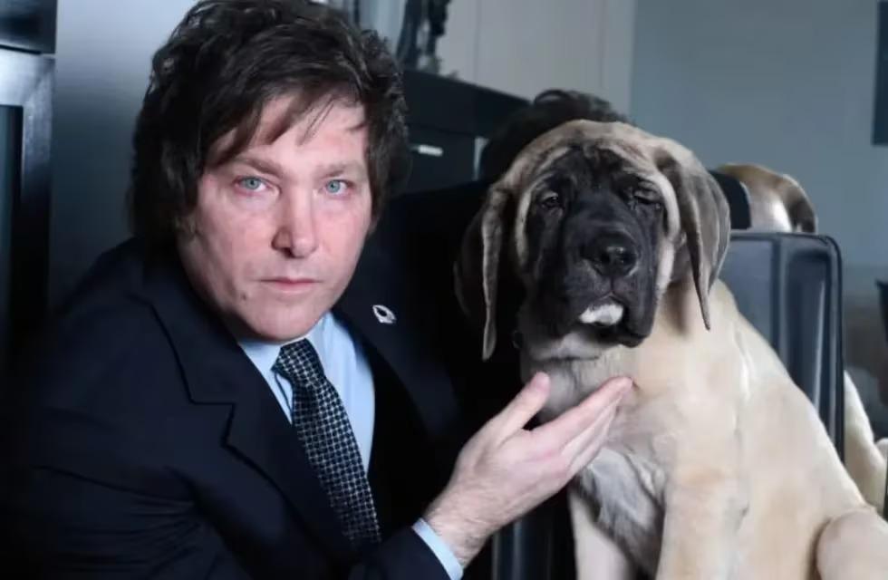 WhatsApp Image 2024-07-02 at 7.12.45 AM