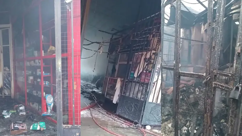 WhatsApp Image 2024-11-06 at 08.08.39