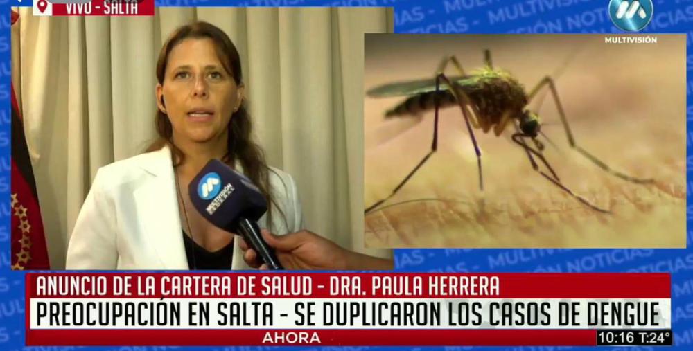 WhatsApp Image 2024-03-13 at 10.58.20