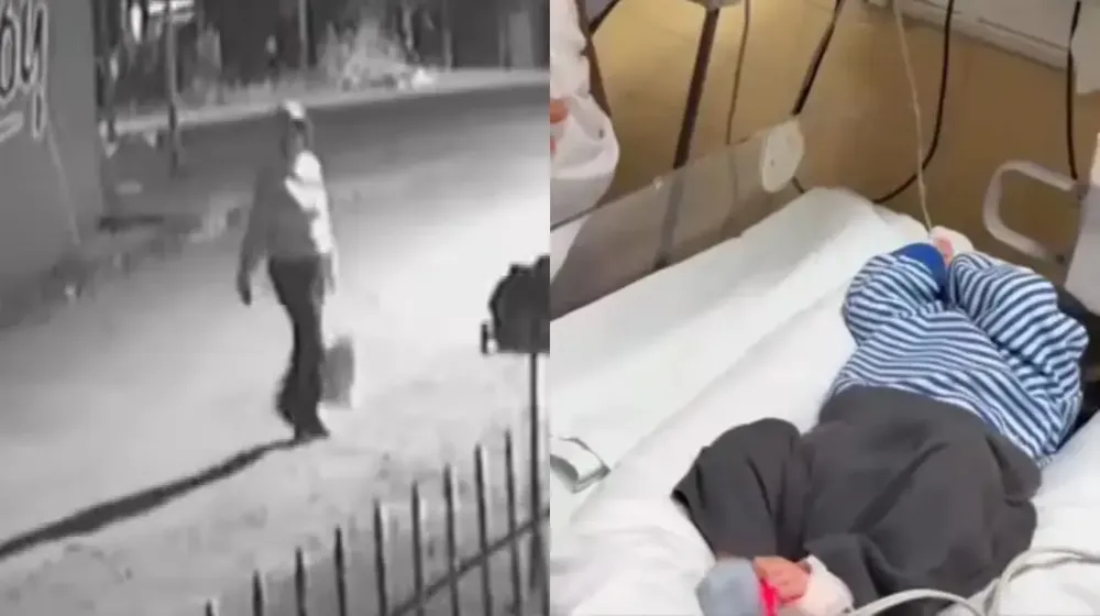 https___thumbs.vodgc.net_TNS318122025073500572575830-1766055351