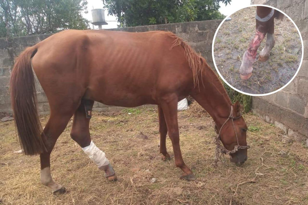 imagen_2024-03-22_102307113