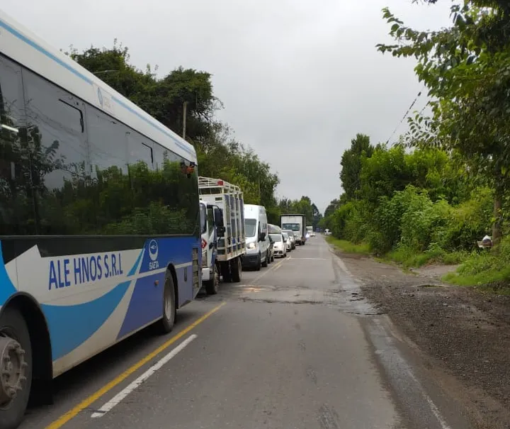 WhatsApp Image 2025-02-19 at 10.03.57 AM