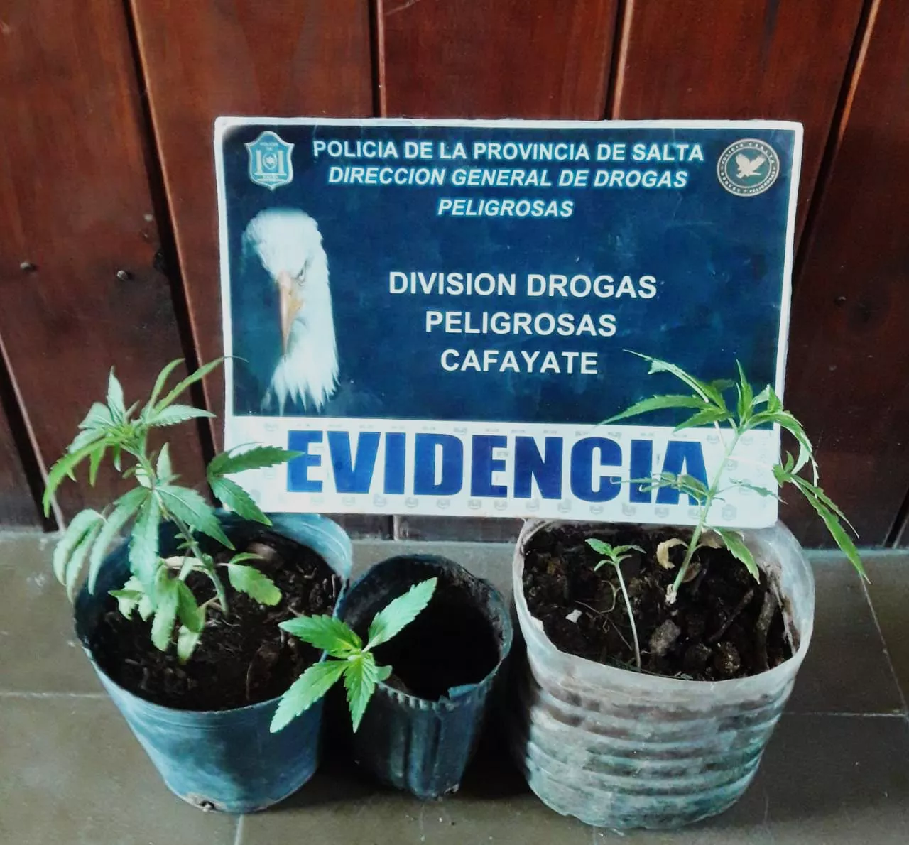 WhatsApp Image 2022-07-01 at 6.57.15 AM