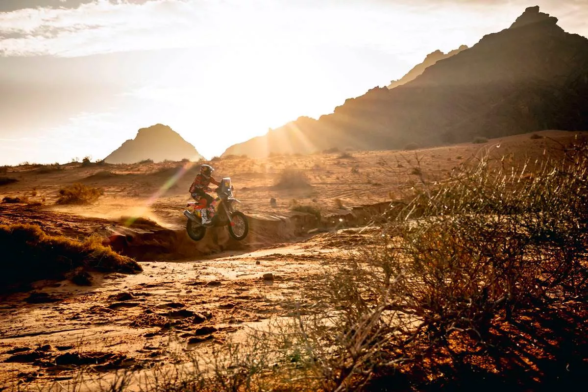 8e01ed58-8bf0-4a9a-aca2-ad496b73df10