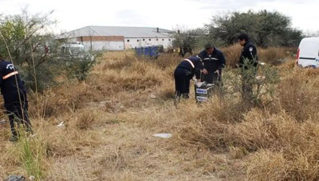 multimedia.normal.94bd646a1c001a0c.616275736f5f6e6f726d616c2e6a7067