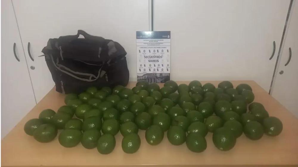 WhatsApp Image 2024-03-26 at 08.31.14