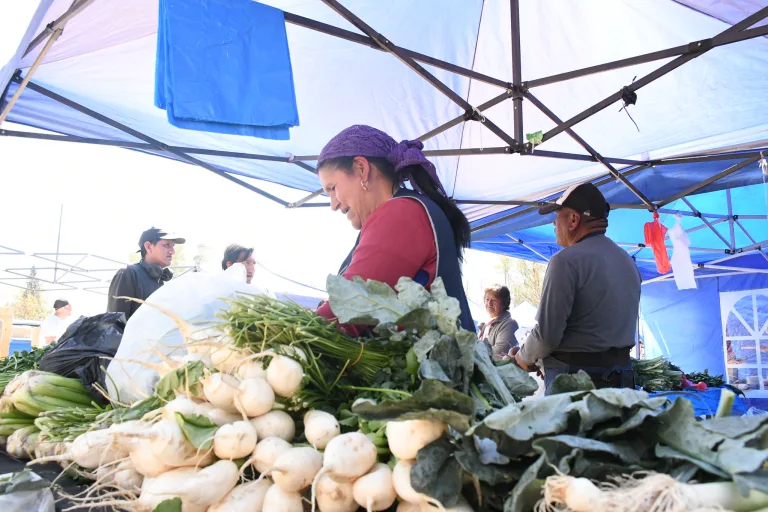 el-mercado-en-tu-barrio-unsa-8-768x512