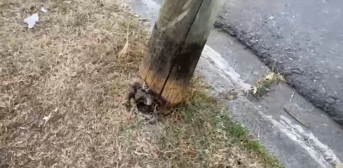 image - 2025-08-06T080838.675