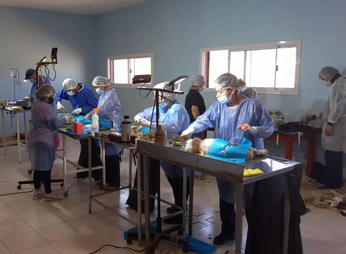 jornada-castraciones-NIDO-Bic-2ok