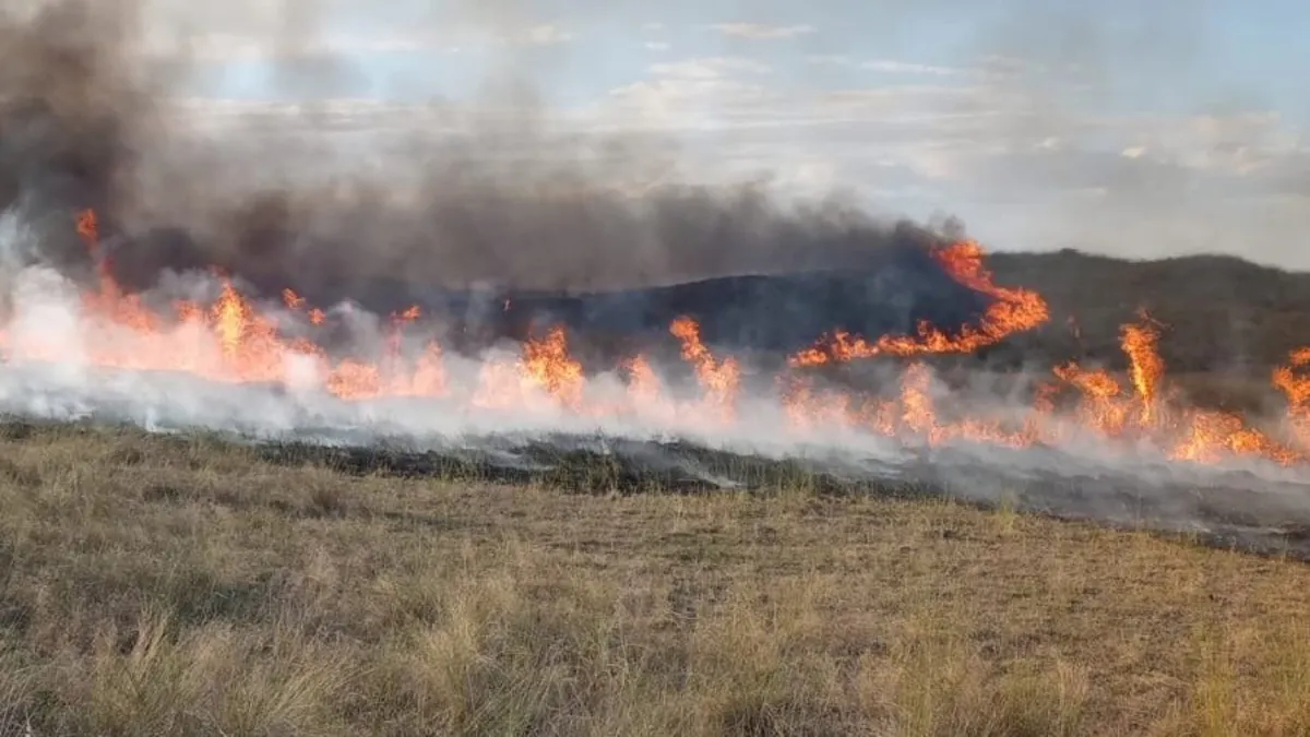 incendio-forestal-el-sur-bahia-blanca