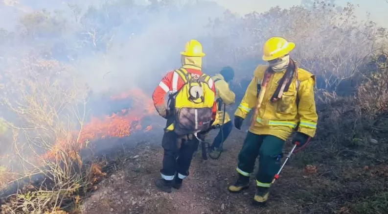 noticia 5 incendios en san lorenzo