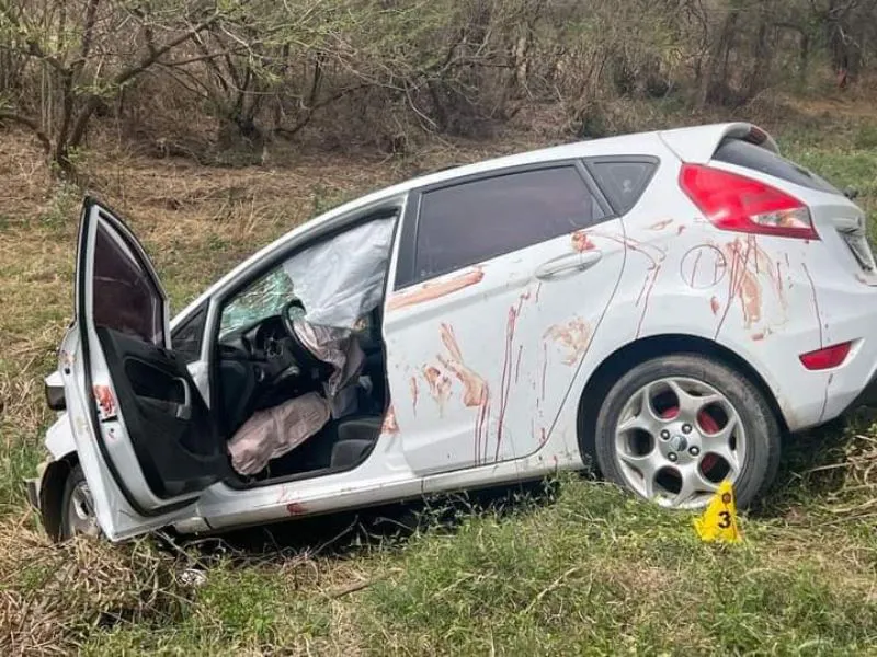 multimedia.normal.93e6462e5ef7279f.d2ViIDgwMCB4IDYwMF8yMDI0MDkyMl8xOTAxNTlfMDBfbm9ybWFsLndlYnA=