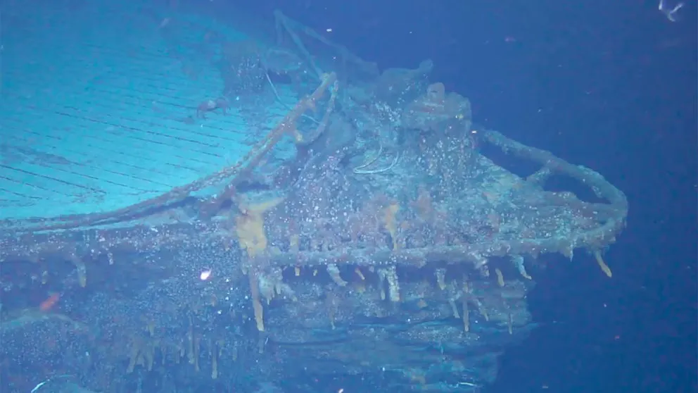 WhatsApp Image 2024-10-24 at 10.15.22