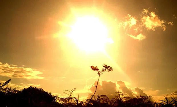 imagen_2024-02-01_075635938