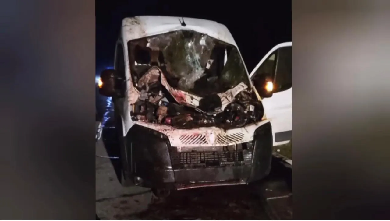 WhatsApp Image 2026-02-12 at 08.17.17