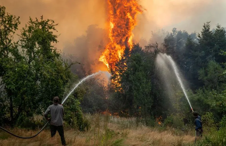 noticia 6 incendios forrestales