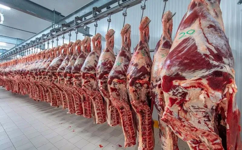 noticia 4 CARNES