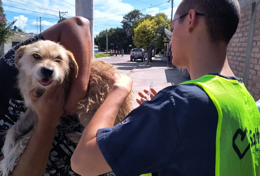 vacunacion-solis-pizarro-5-jpg
