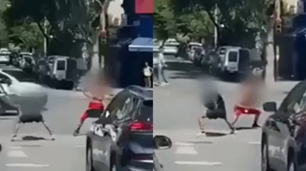 https___thumbs.vodgc.net_1-14-Yv9ZTr1770762347276-1770762657