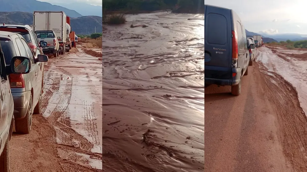 WhatsApp Image 2024-11-01 at 09.51.15