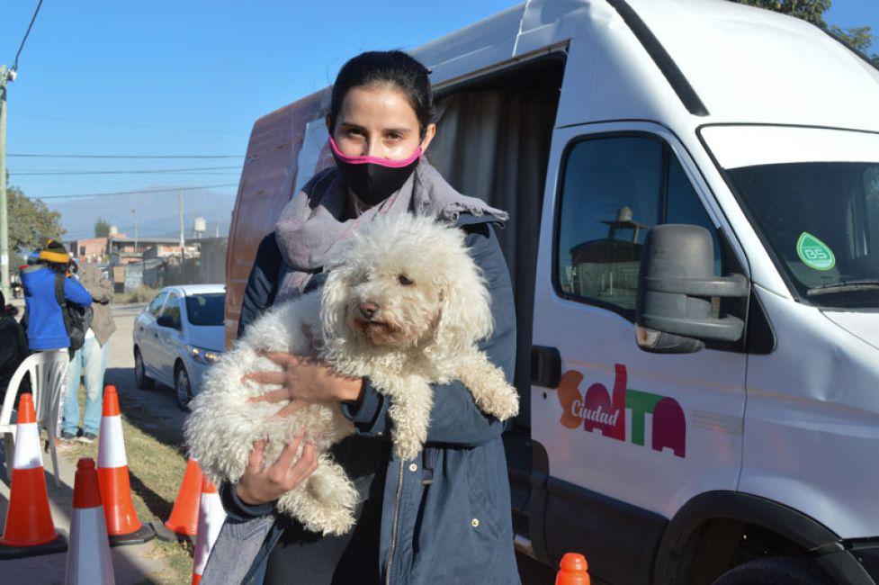 22634-tens-una-mascota-mir-donde-estar-el-mvil-quirrgico-de-la-ciudad