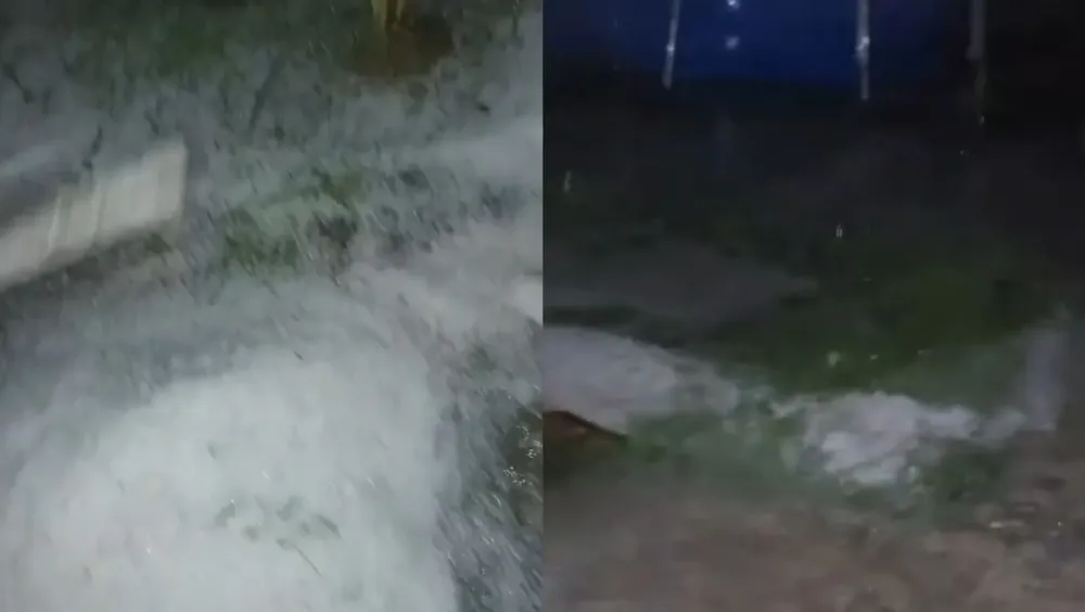 WhatsApp Image 2025-11-05 at 08.24.05