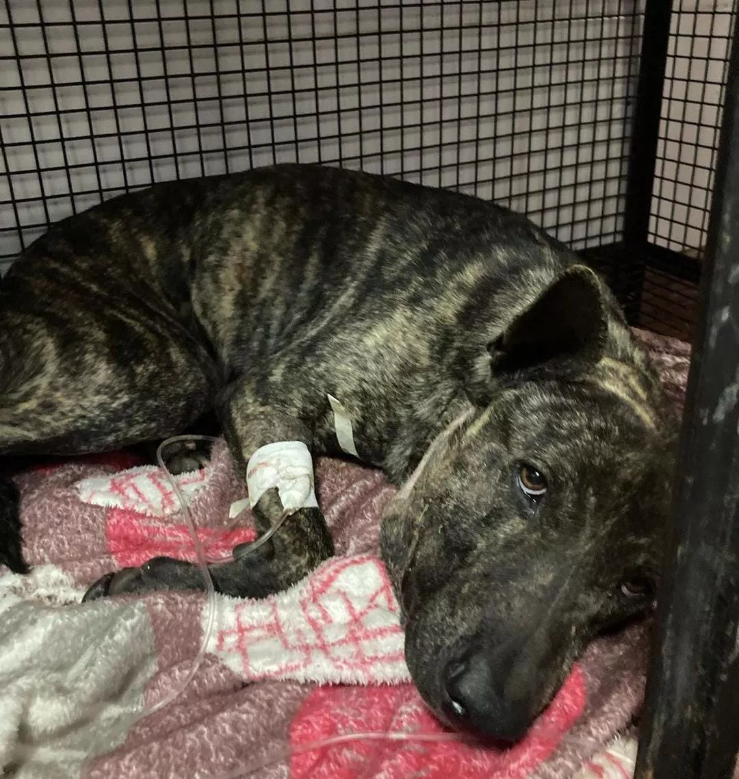 WhatsApp Image 2022-08-08 at 9.44.35 AM