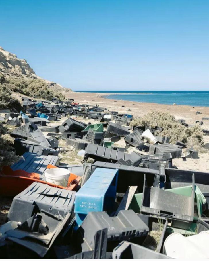 WhatsApp Image 2023-04-28 at 09.24.39