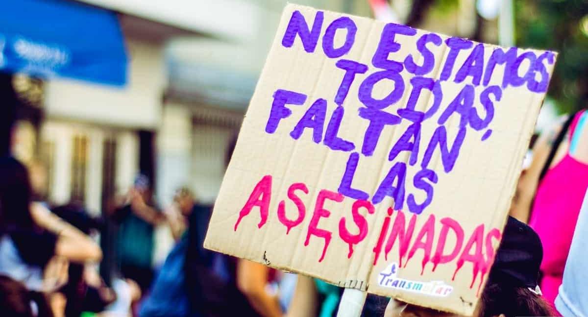 WhatsApp Image 2023-07-31 at 08.39.49