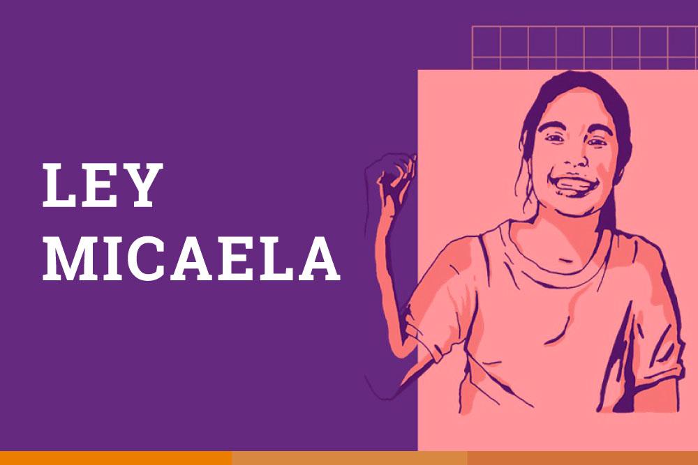 19-ley-micaela