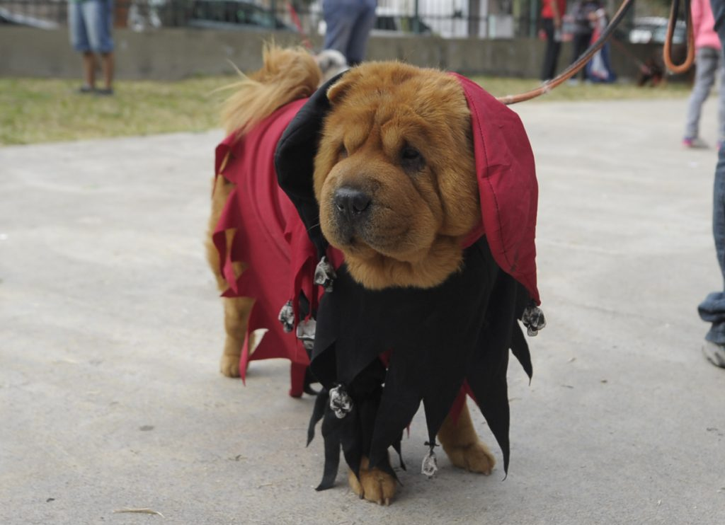 imagen_2024-04-26_081436131