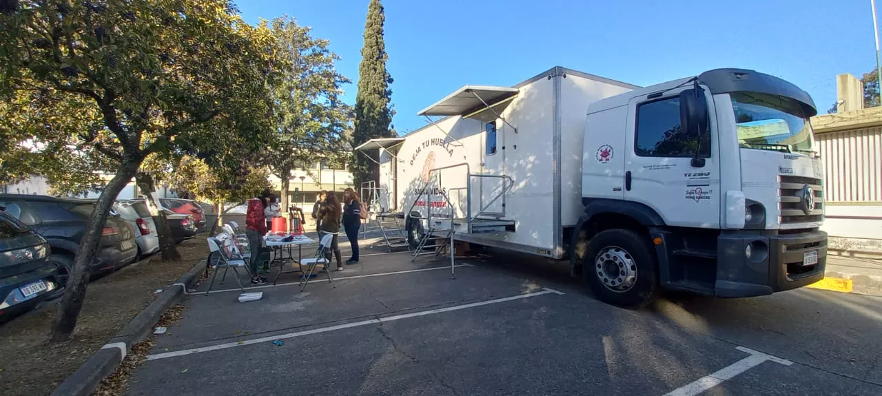 WhatsApp Image 2022-07-01 at 9.26.21 AM