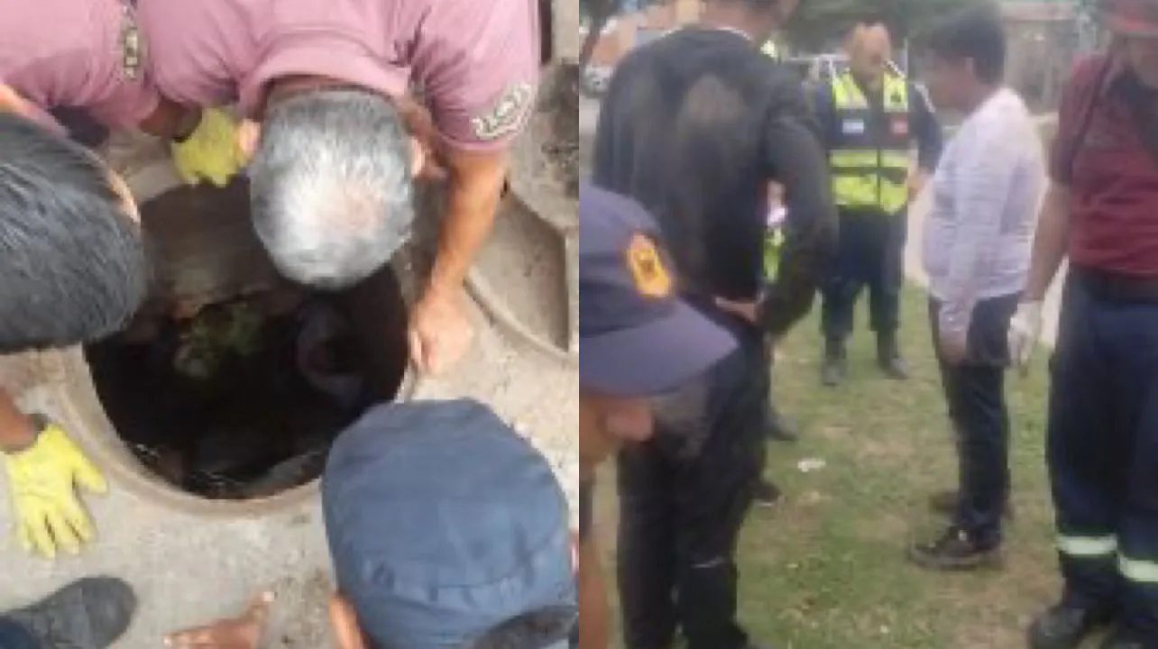 WhatsApp Image 2024-11-12 at 7.49.04 AM