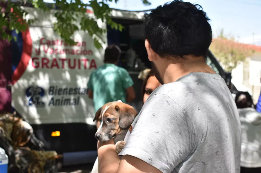 movil-quirurgico-santa-lucia