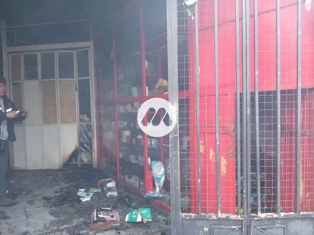 WhatsApp Image 2024-11-06 at 07.46.42