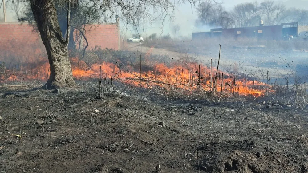 incendio-zona-sur-12-17-de-julio