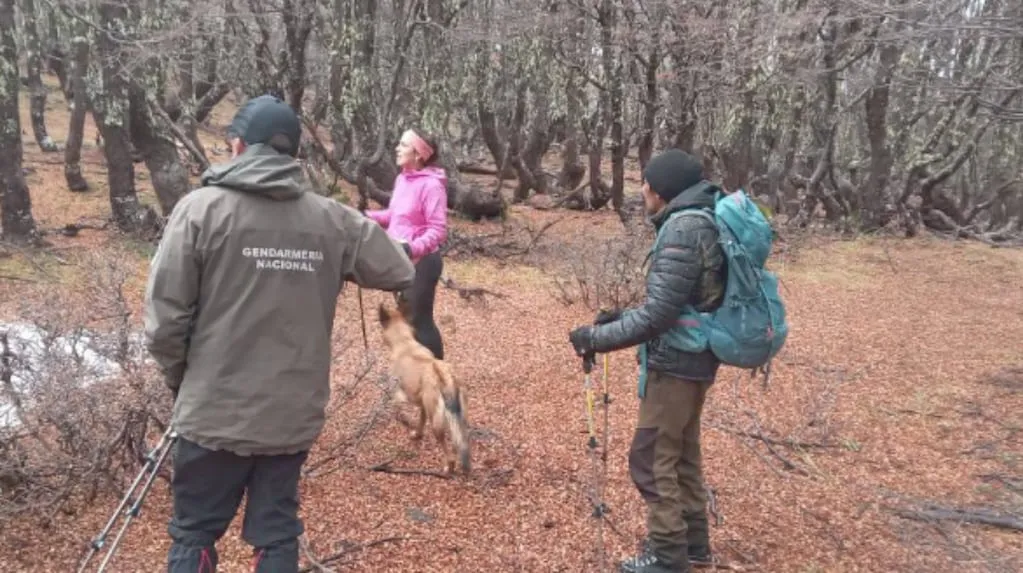 https___thumbs.vodgc.net_3DECF1A29D87C90C97C03C58B15CD330341-1746361212