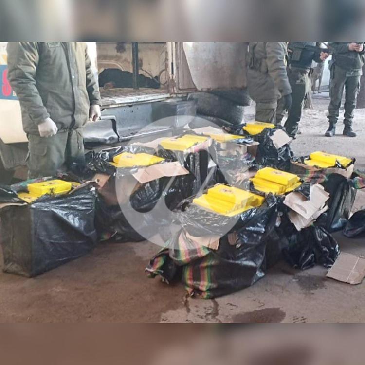 WhatsApp Image 2024-07-11 at 8.30.12 AM